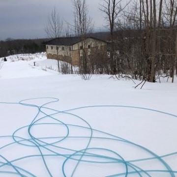 blue, plastic sap lines on a hill