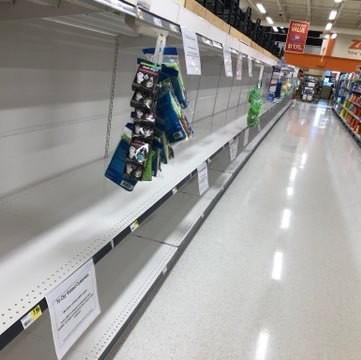 Empty grocery store shelves where toilet paper normally sits