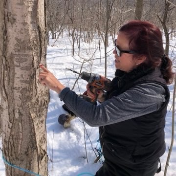 a woman looking at a maple tree while holding a drill