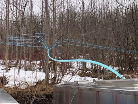 blue plastic lines entering an old milk tank