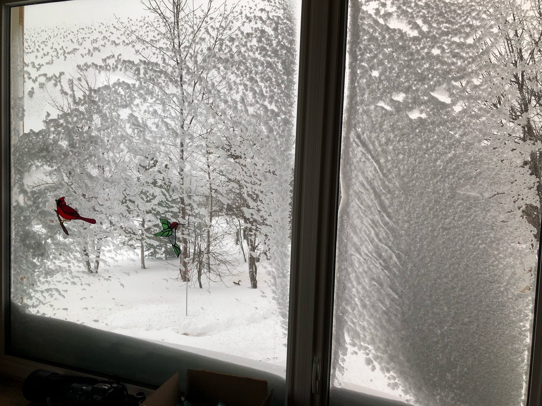 window covered in snow with a stained glass, red cardinal and a ruby-throated hummingbird hanging on them 
