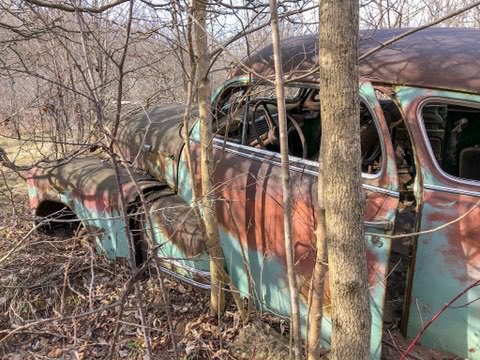 old car rusting away among the trees