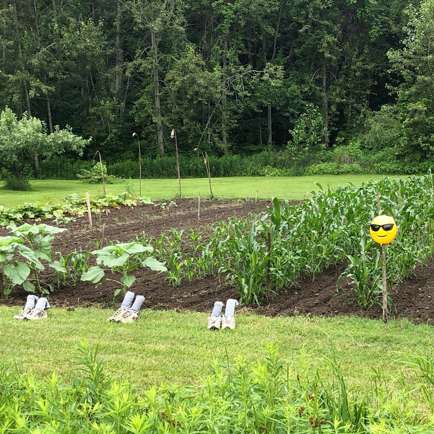 a happy face mask and three pairs of shoes sitting apart in front of a vegetable garden