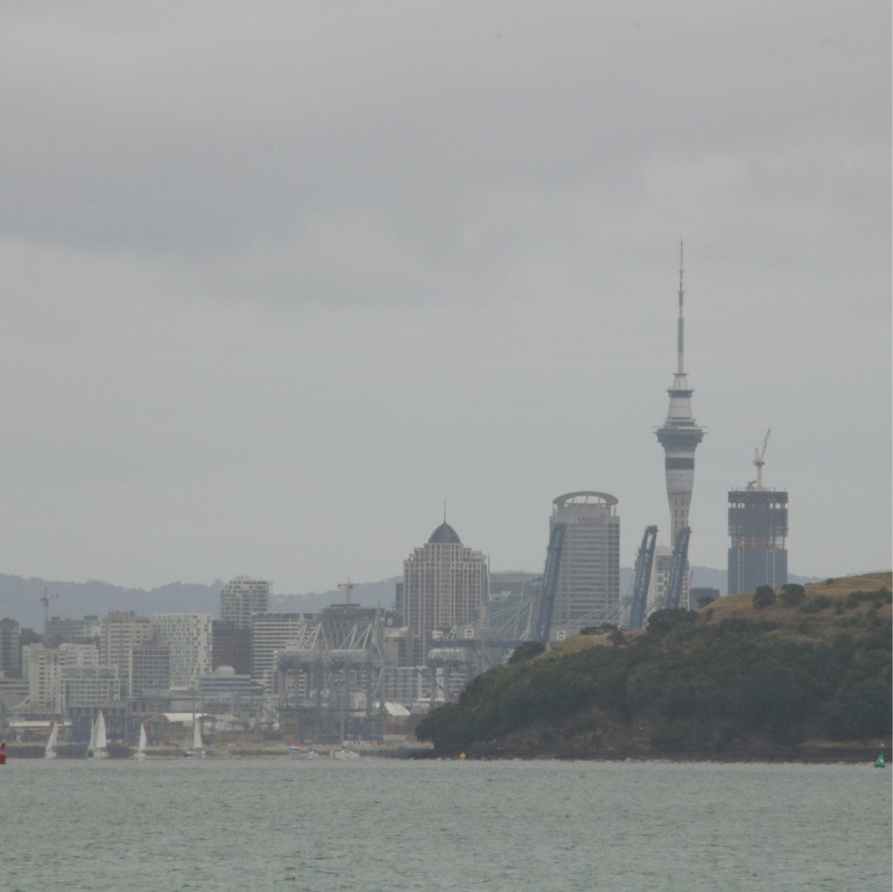 auckland skyline from the north