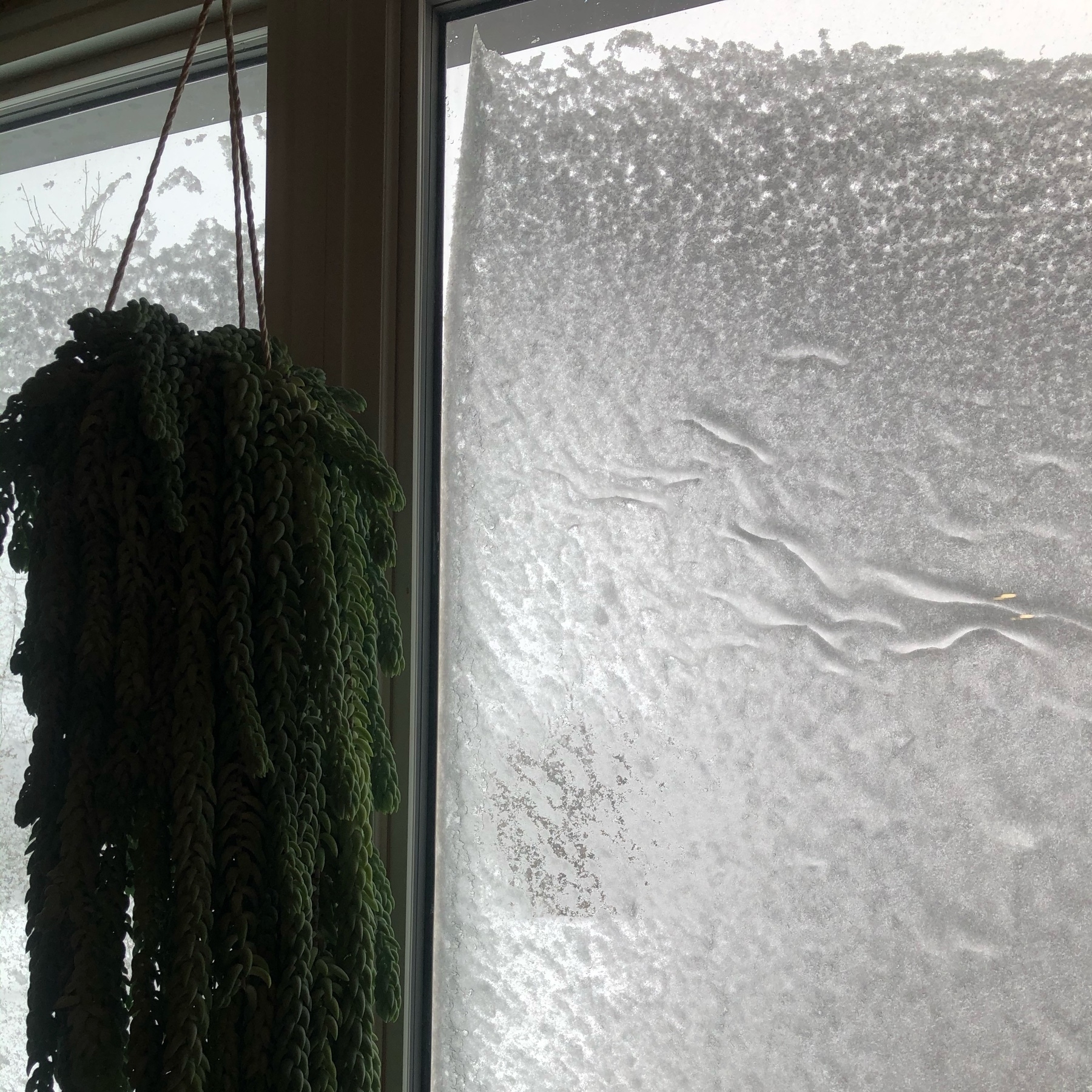 snow covering the outside of a window. 
