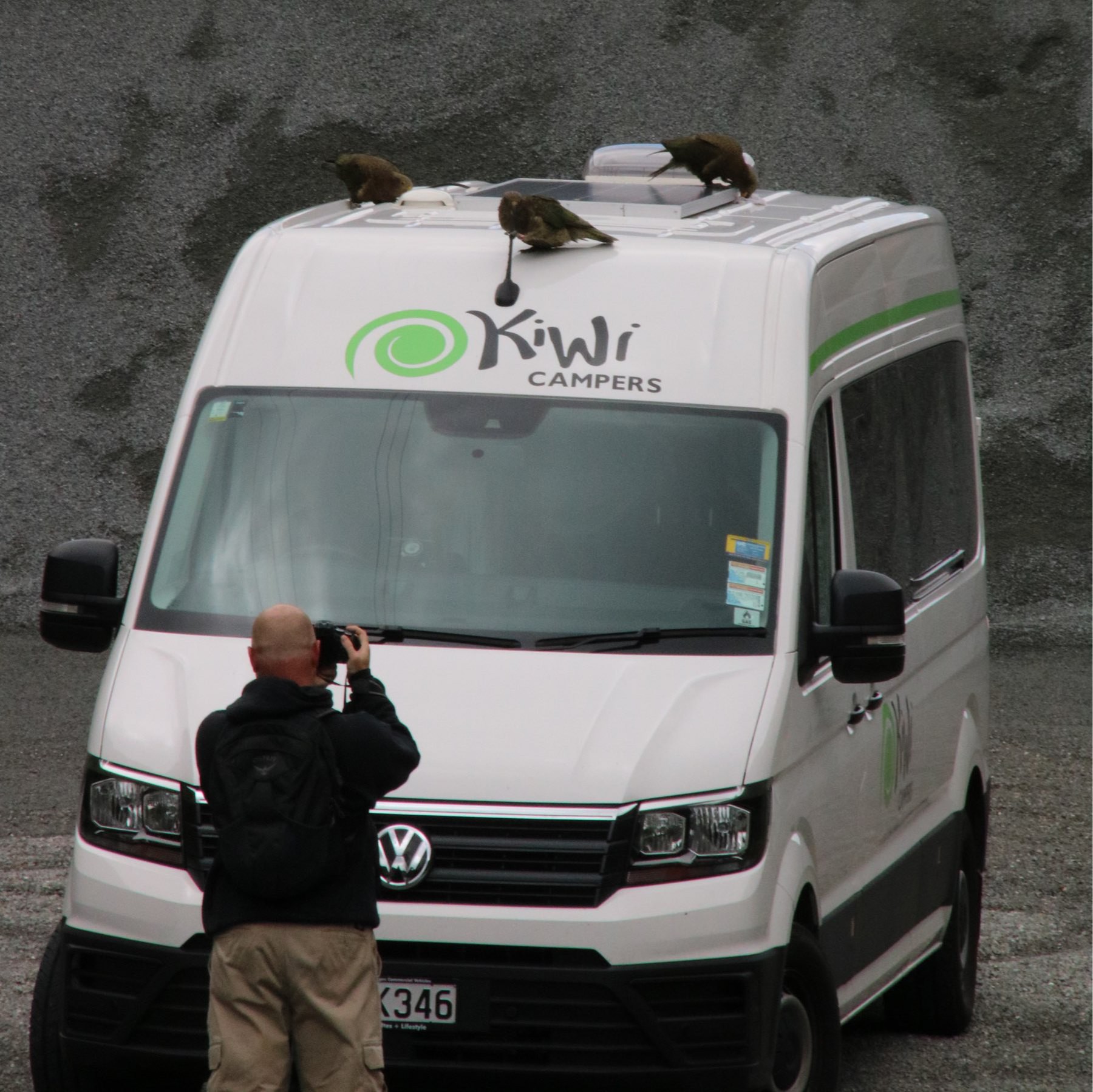 man taking photos of three kea