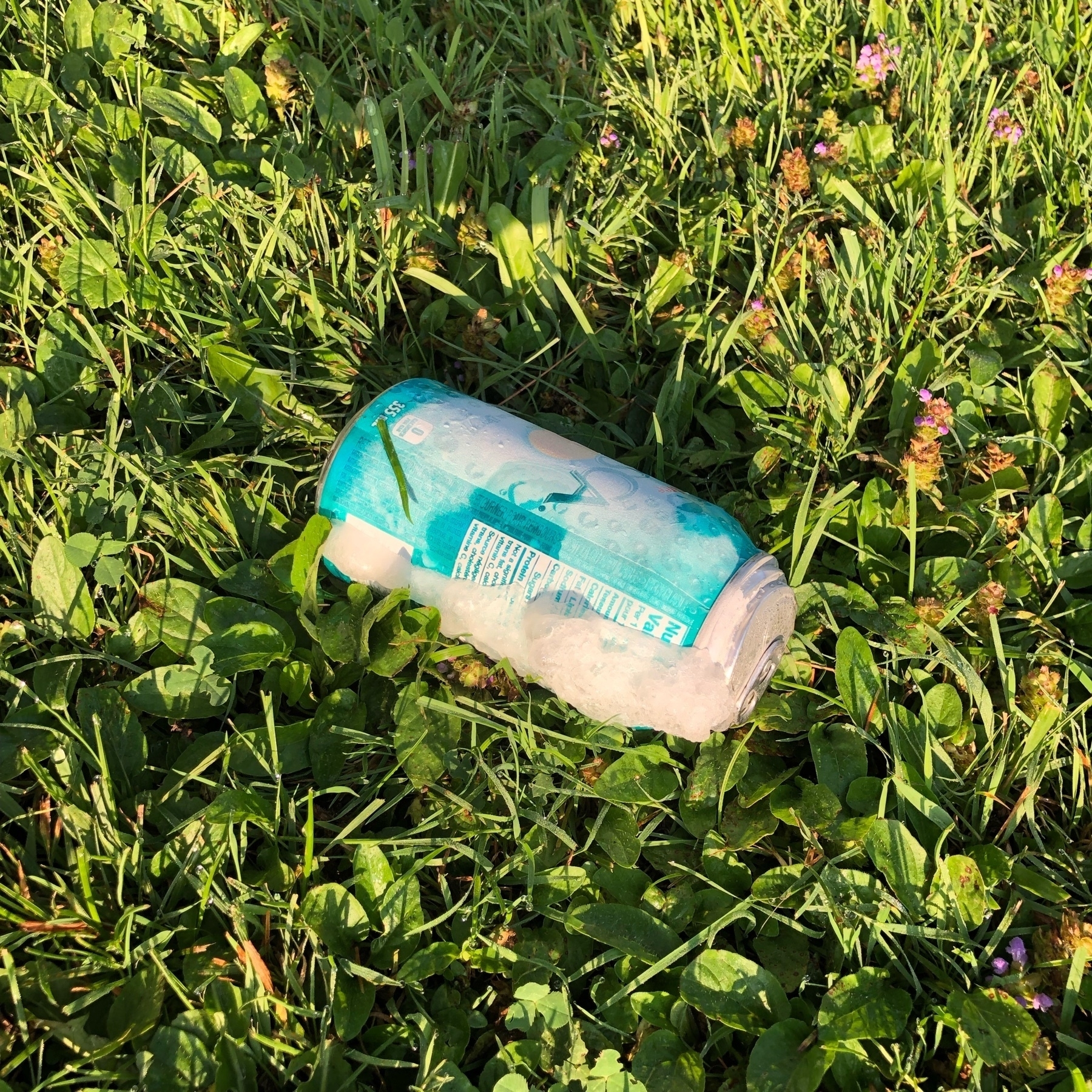 puffed out can of fresca sitting on grass. there is ice on the side