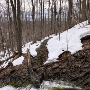 snow and tree-covered, steep hillside with a blue line about 1 metre above the snow. there is a fast moving stream in the foreground
