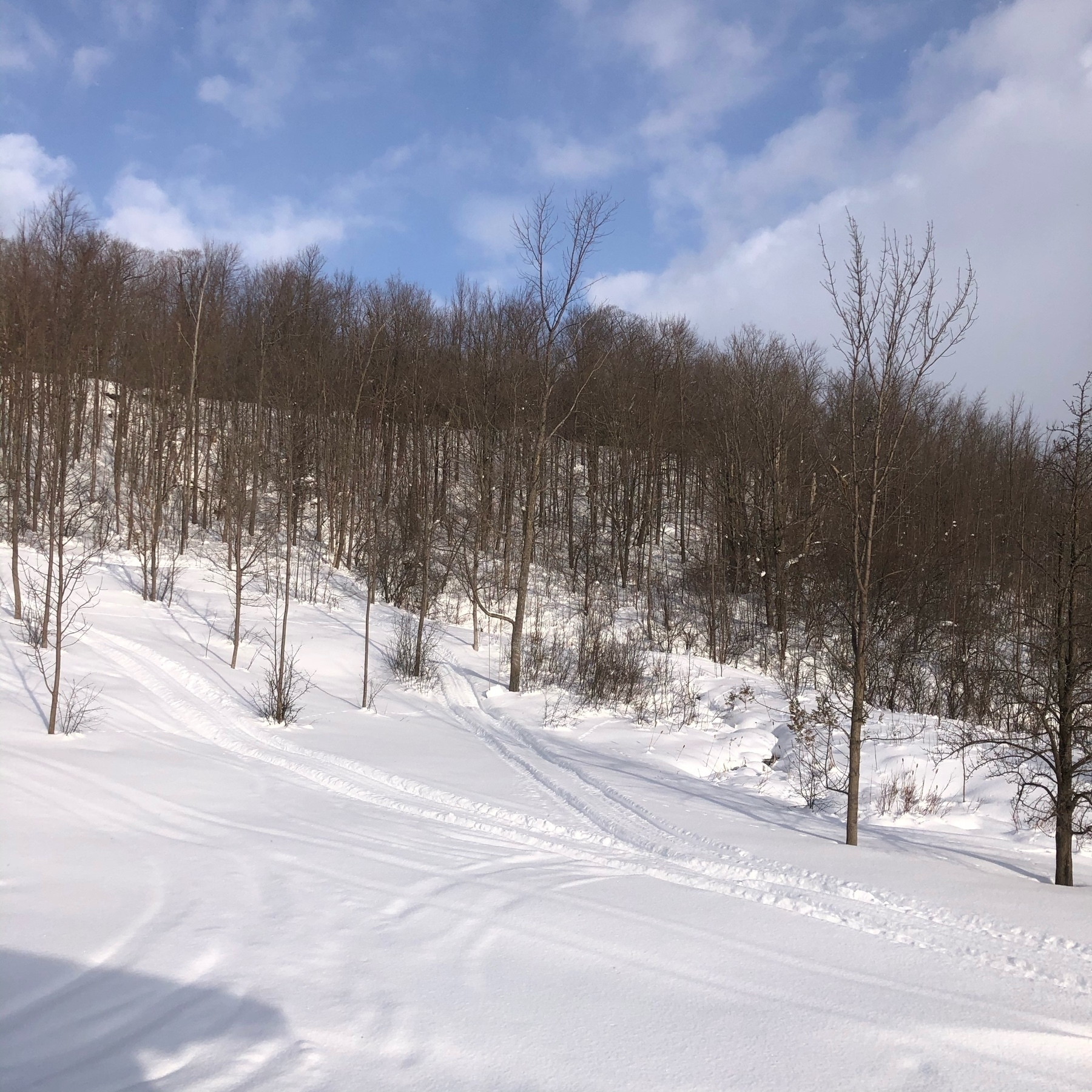 sky is a mixture of blue and clouds. there is a hill covered in part with trees and the rest is open and covered with snow. there is shadow of part of a house