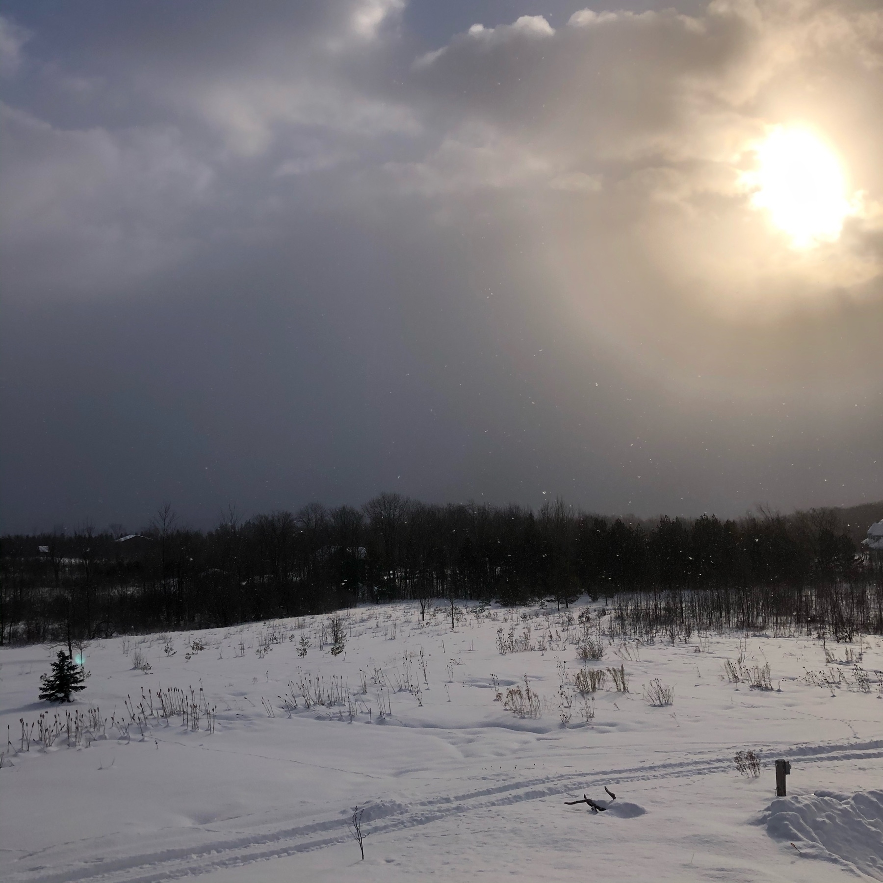 sun behind thin clouds with dark sky. some snow flakes are falling. there is a row of trees. the ground is snow-covered