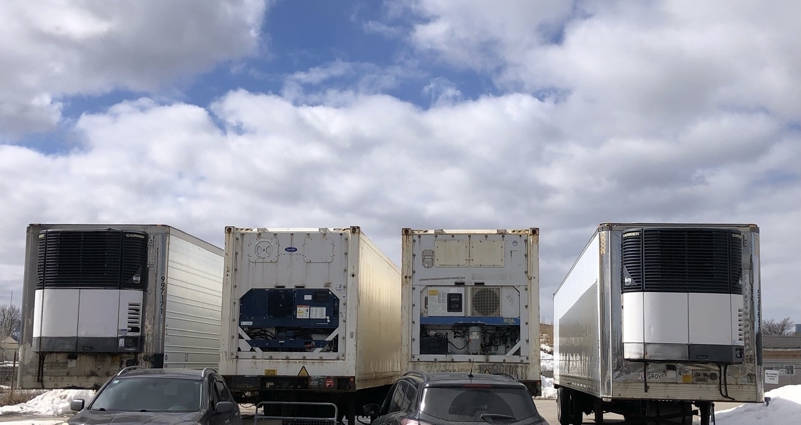the front of four tractor trailers with refrigeration units visible. the top of two cars are also visible. the sky is clear.