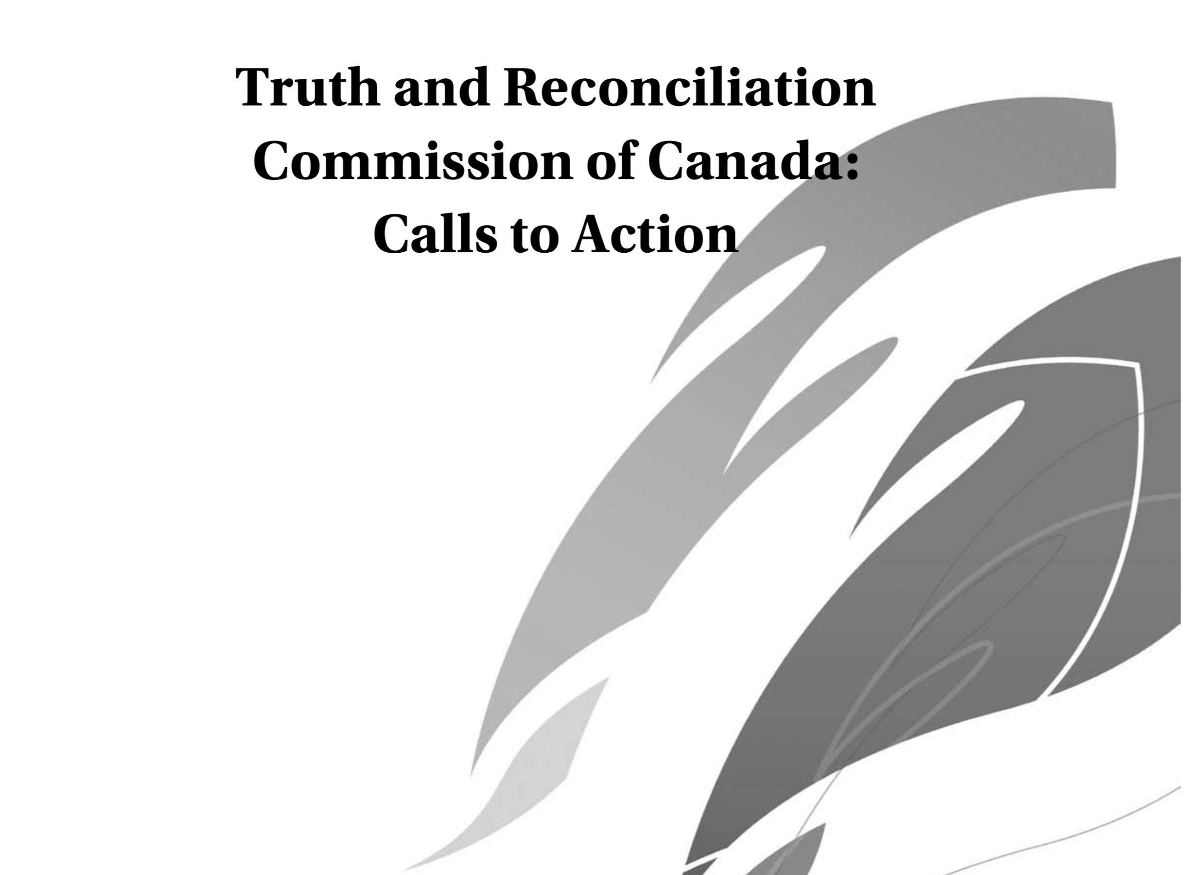 cover from the "calls to Action" document