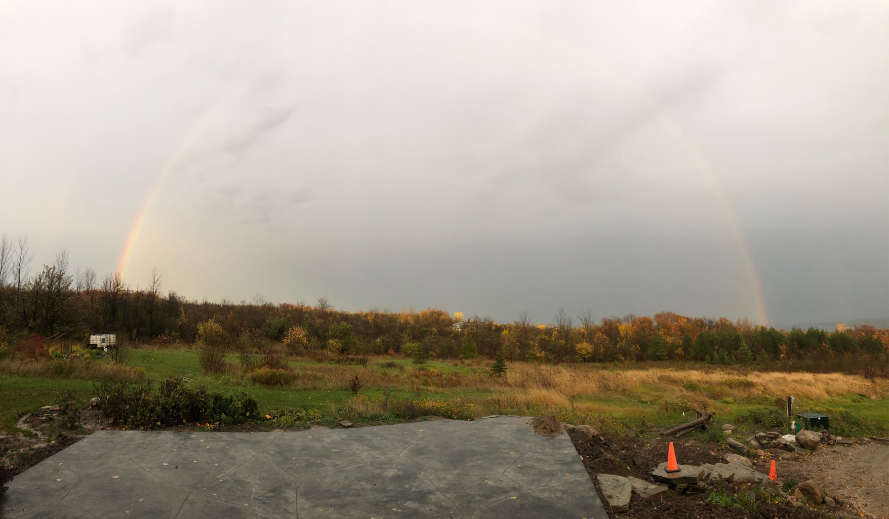 a rainbow over a line of trees with coloured leaves. a grey patio in the forefront