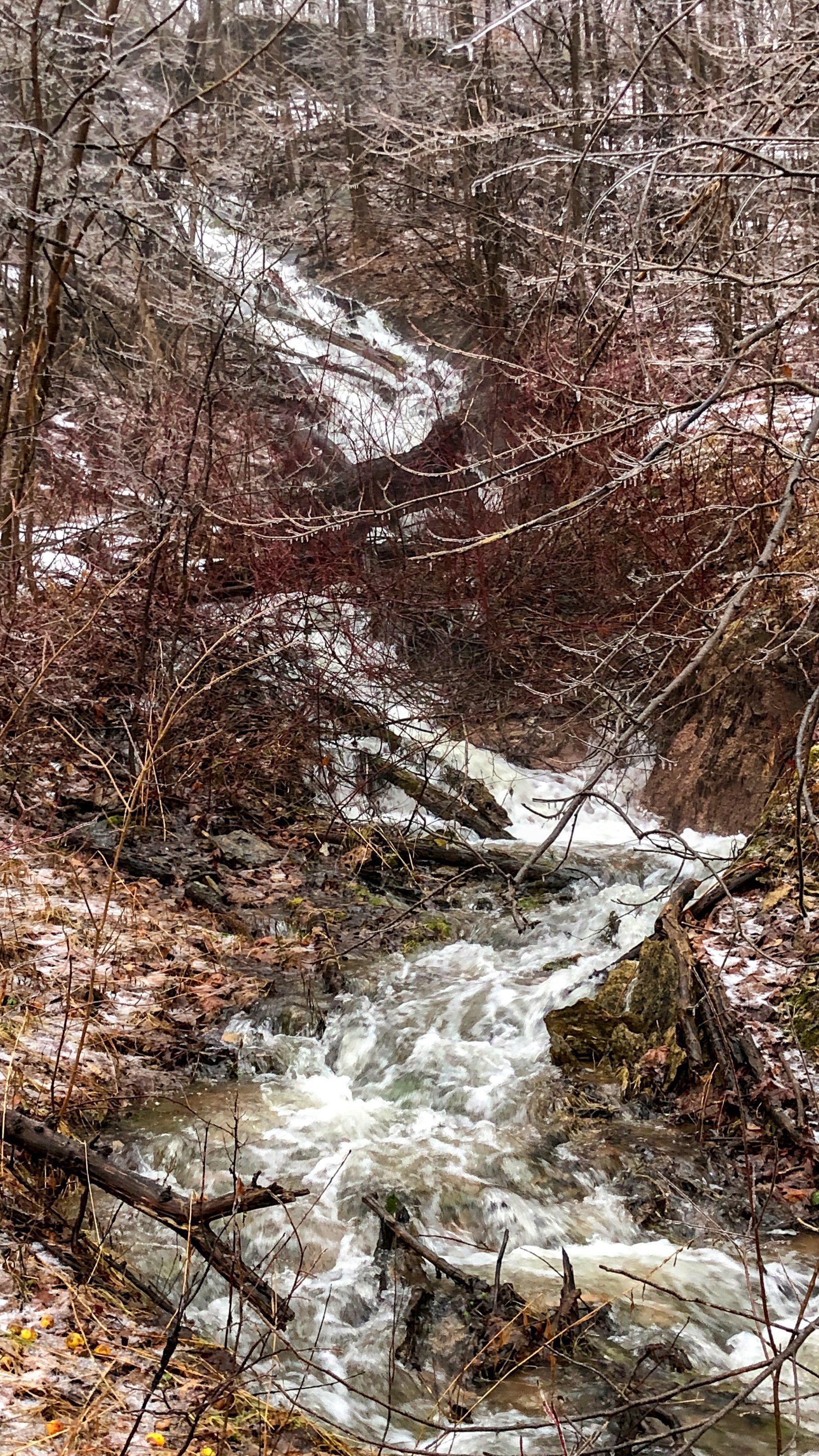 waterfalls and ice on trees