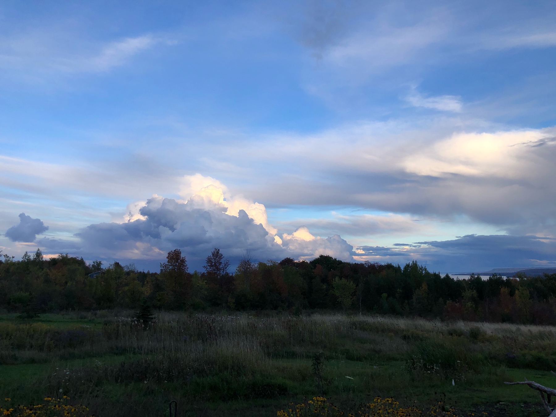 bright white clouds mixed with dark clouds over trees and water