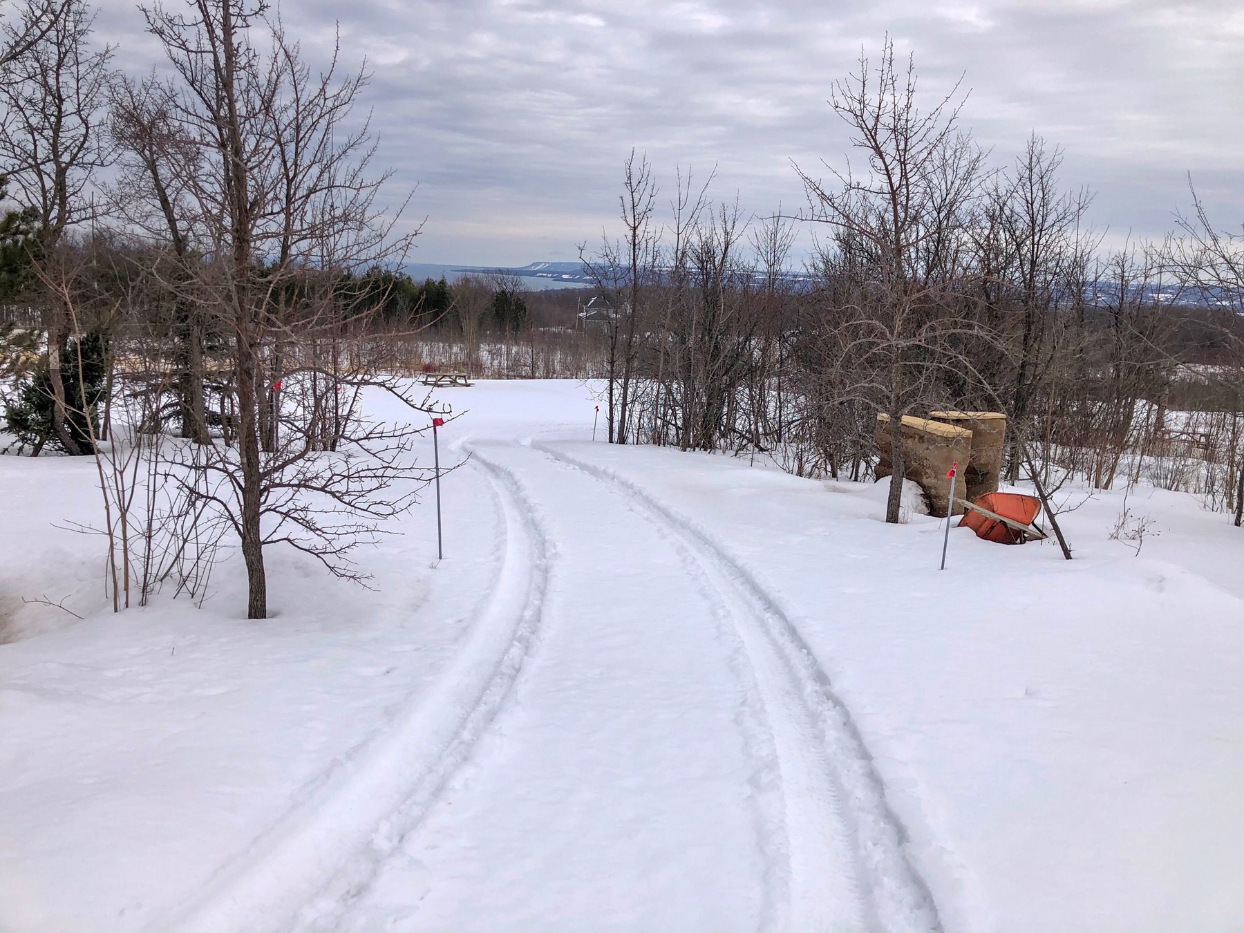 car tracks in a driveway