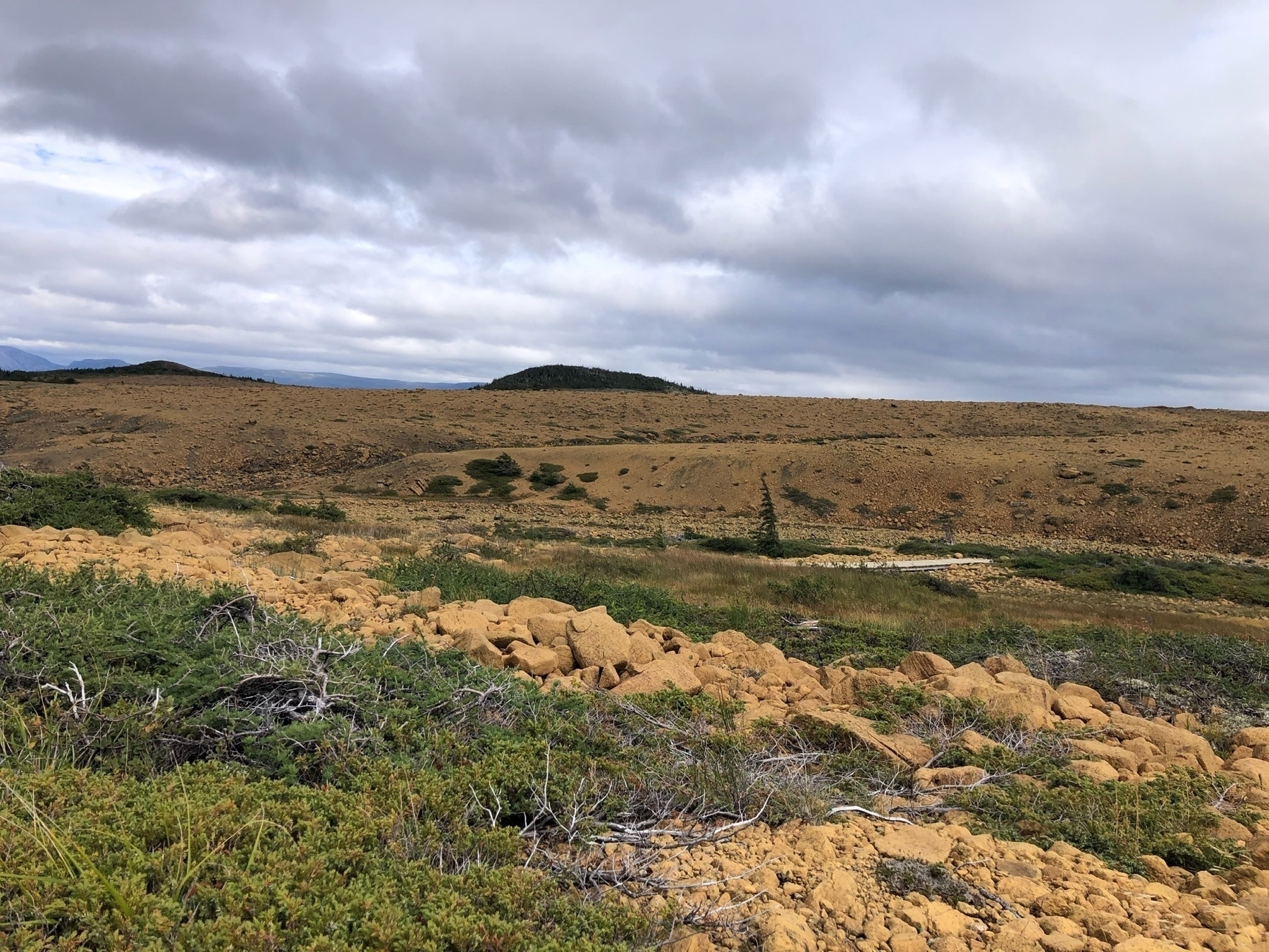 large expanse of rust-coloured rocks on a mountainside