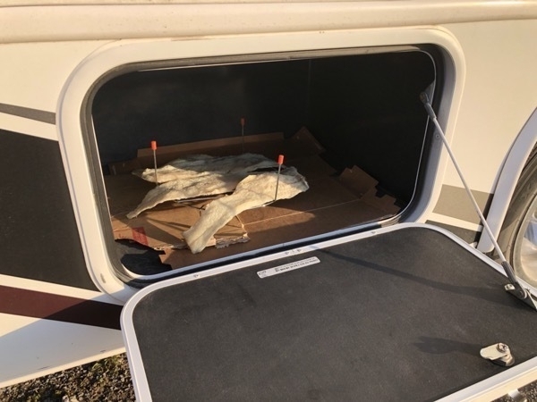 fish on a rack inside a small cabinet
