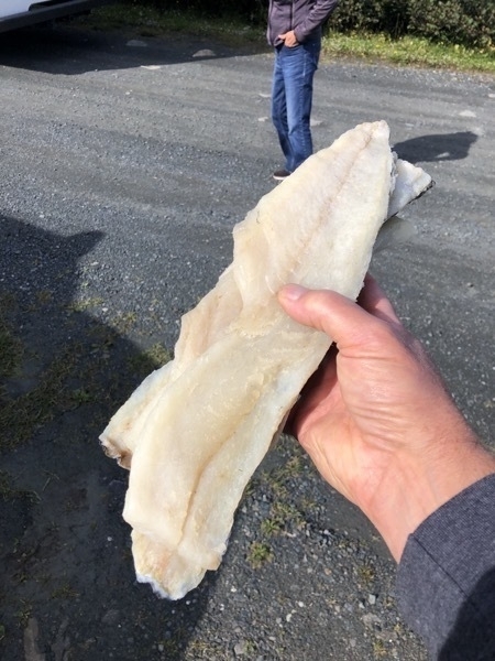 fish fillets in a hand